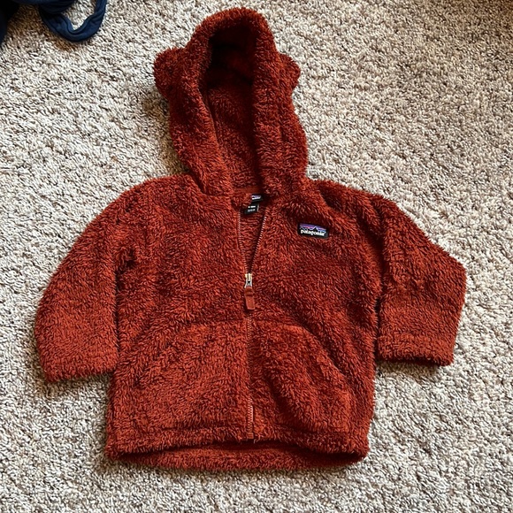 Patagonia Other - Patagonia bear hoody